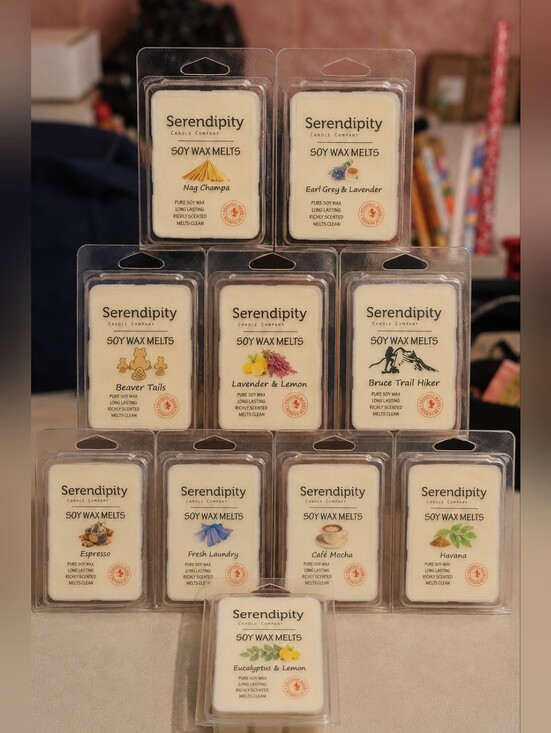 Serendipity Candles Other - Serendipity Soy Wax Melts Scent Bundle Lot of 10 Assorted Scents
